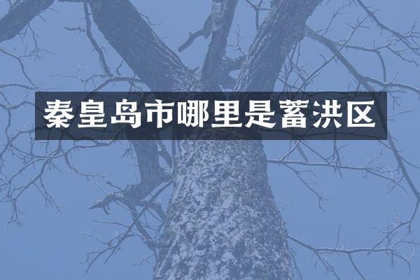 秦皇岛市哪里是蓄洪区