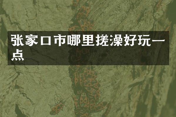 张家口市哪里搓澡好玩一点