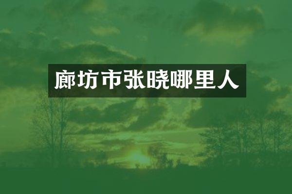 廊坊市张晓哪里人