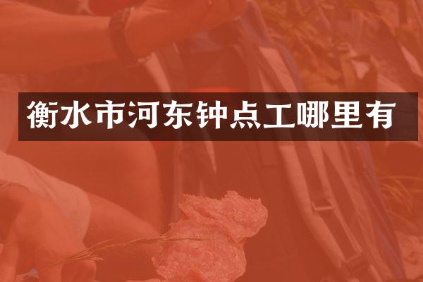 衡水市河东钟点工哪里有