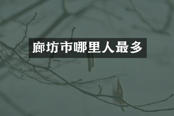 廊坊市哪里人最多