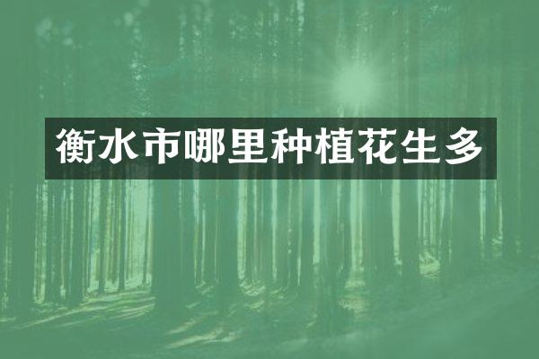 衡水市哪里种植花生多