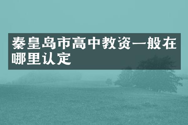 秦皇岛市高中教资一般在哪里认定