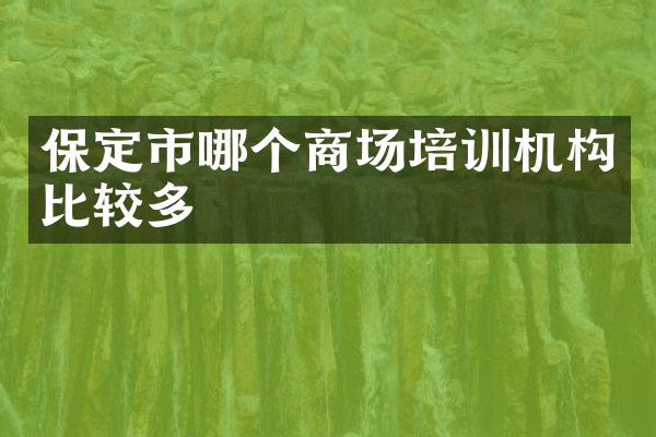 保定市哪个商场培训机构比较多