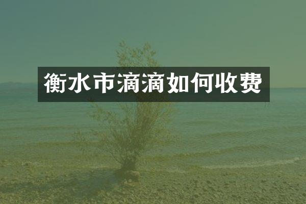 衡水市滴滴如何收费