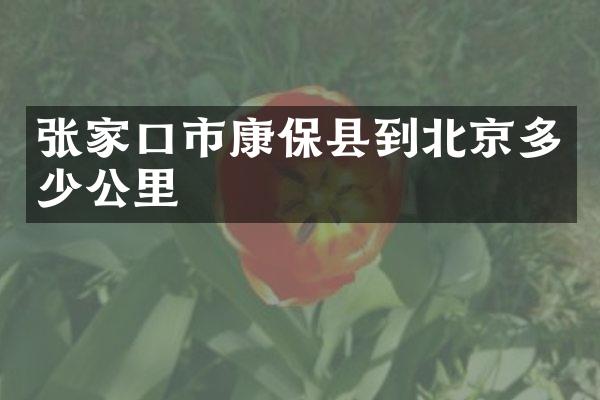 张家口市康保县到北京多少公里