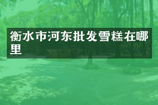 衡水市河东批发雪糕在哪里