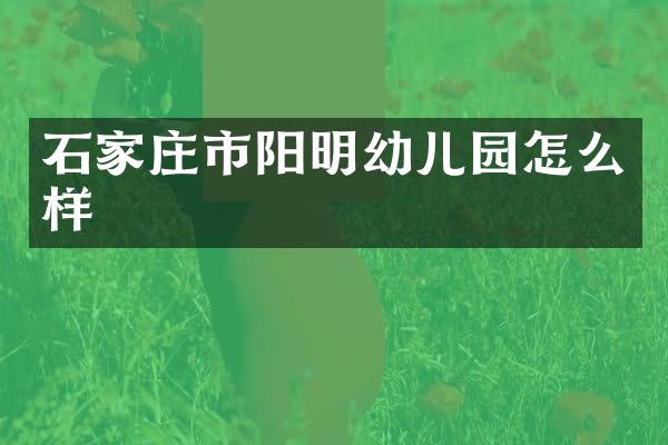 石家庄市阳明幼儿园怎么样