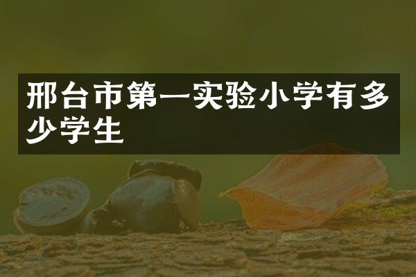 邢台市第一实验小学有多少学生