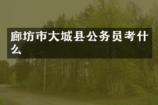 廊坊市大城县公务员考什么