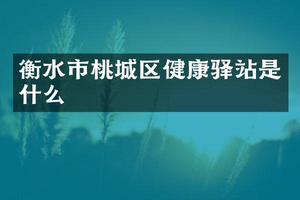 衡水市桃城区健康驿站是什么