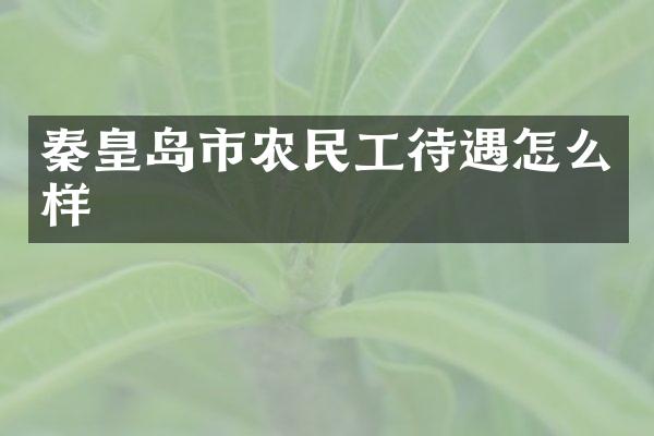 秦皇岛市农民工待遇怎么样