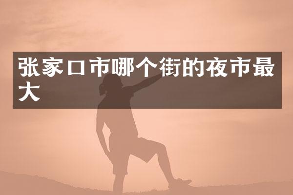 张家口市哪个街的夜市最大