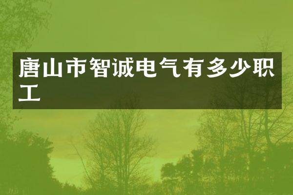 唐山市智诚电气有多少职工