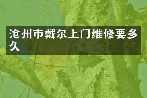 沧州市戴尔上门维修要多久