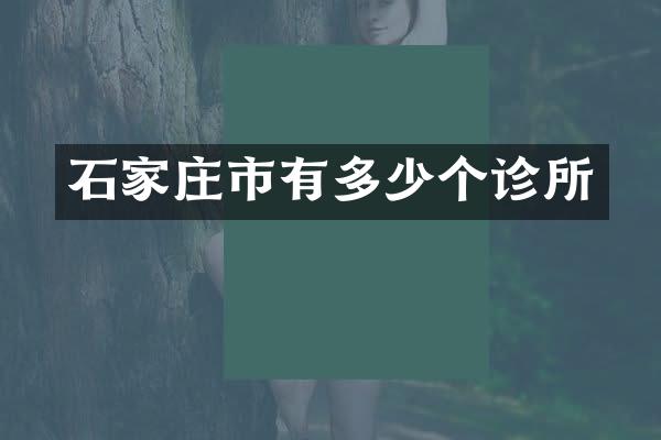 石家庄市有多少个诊所