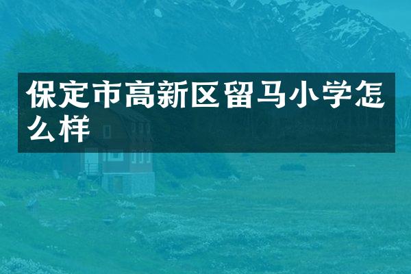 保定市高新区留马小学怎么样