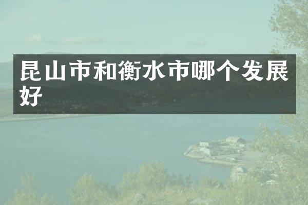 昆山市和衡水市哪个发展好