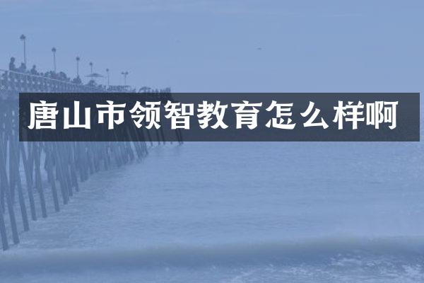 唐山市领智教育怎么样啊
