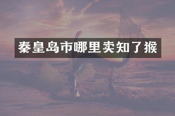 秦皇岛市哪里卖知了猴