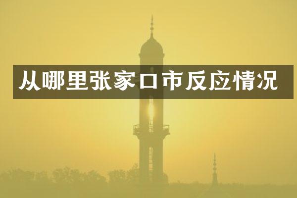 从哪里张家口市反应情况