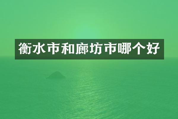 衡水市和廊坊市哪个好