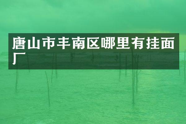唐山市丰南区哪里有挂面厂