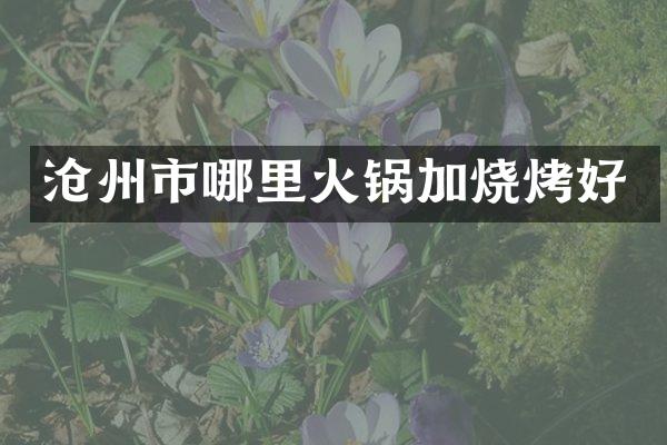 沧州市哪里火锅加烧烤好