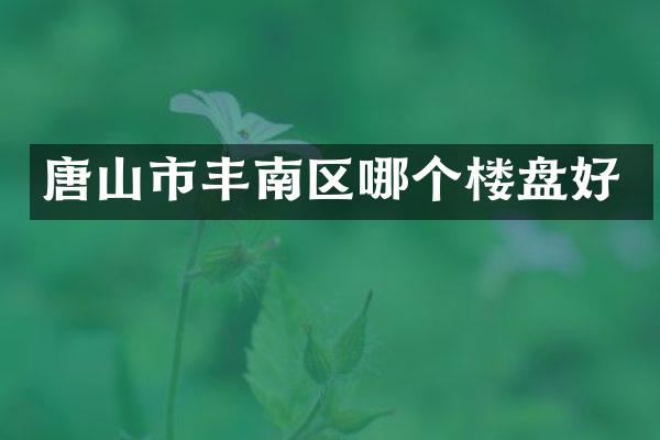 唐山市丰南区哪个楼盘好