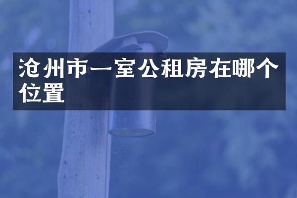 沧州市一室公租房在哪个位置