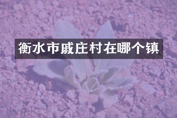 衡水市戚庄村在哪个镇