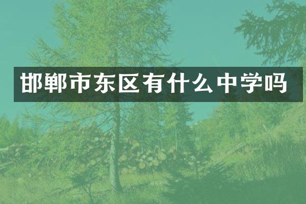 邯郸市东区有什么中学吗
