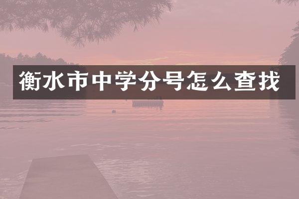 衡水市中学分号怎么查找