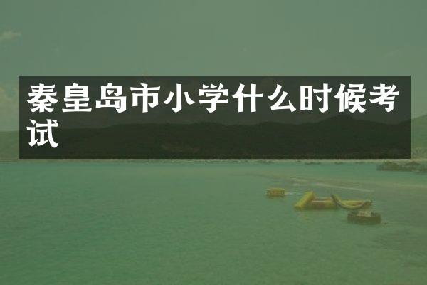 秦皇岛市小学什么时候考试