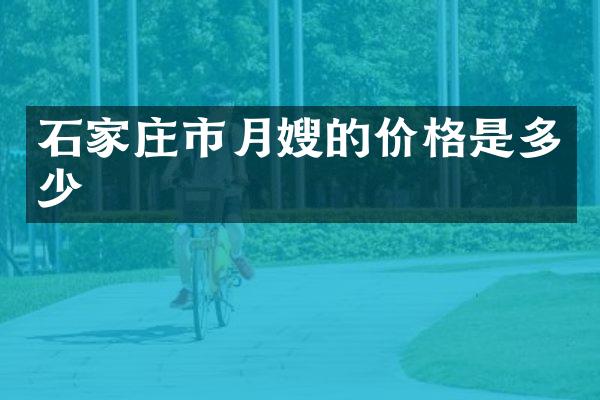 石家庄市月嫂的价格是多少