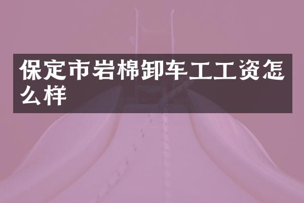 保定市岩棉卸车工工资怎么样