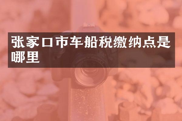 张家口市车船税缴纳点是哪里