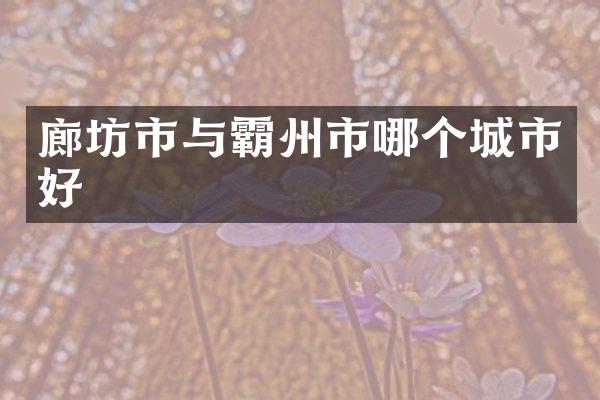 廊坊市与霸州市哪个城市好