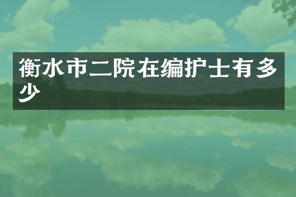 衡水市二院在编护士有多少