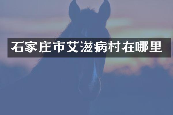 石家庄市艾滋病村在哪里
