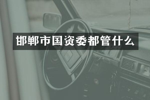 邯郸市国资委都管什么