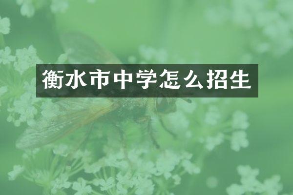 衡水市中学怎么招生