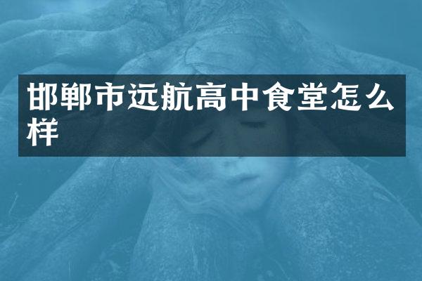 邯郸市远航高中食堂怎么样