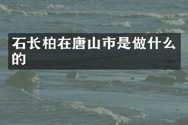 石长柏在唐山市是做什么的