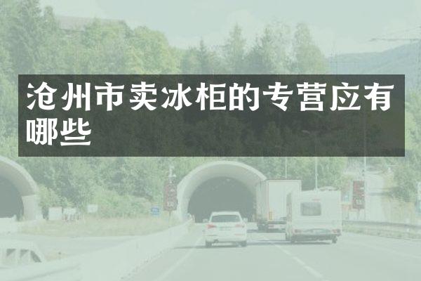 沧州市卖冰柜的专营应有哪些