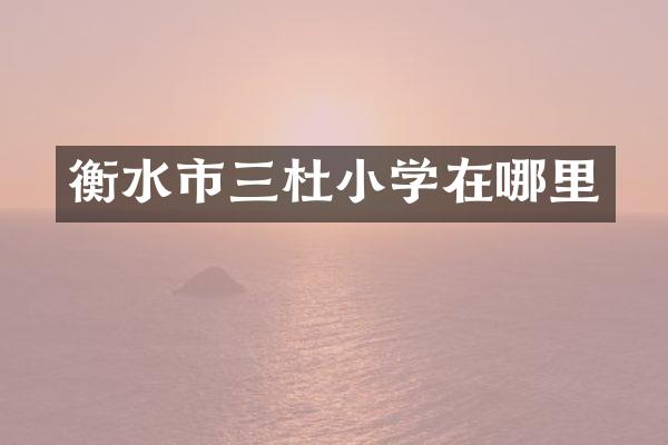衡水市三杜小学在哪里