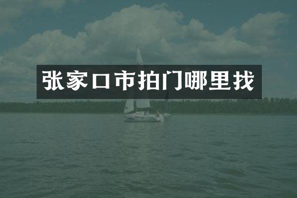 张家口市拍门哪里找