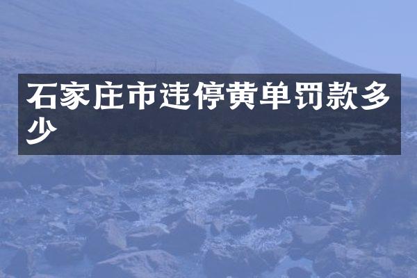 石家庄市违停黄单罚款多少