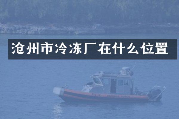 沧州市冷冻厂在什么位置
