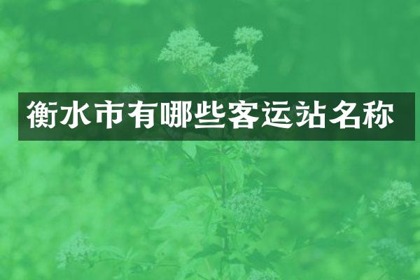 衡水市有哪些客运站名称